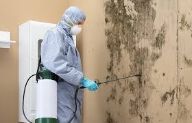 Best Comprehensive Air Testing for Mold Contaminants  in Ashtabula, OH